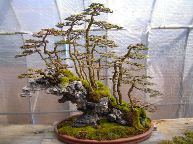 morning picdump 50 pics 19.html - 50 HD Photos | Premium Gallery 2017