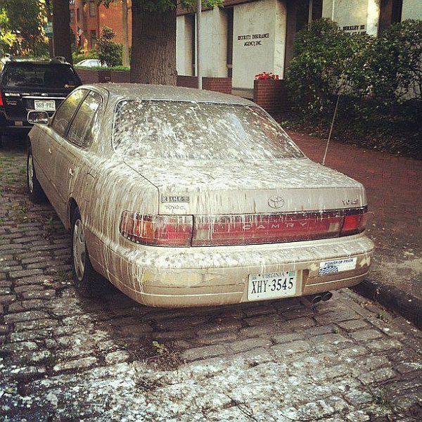 daily picdump 97 pics 23.html - 97 HD Photos | Premium Gallery 2017