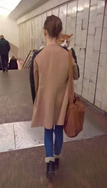 daily picdump 97 pics 23.html - 97 HD Photos | Premium Gallery 2017