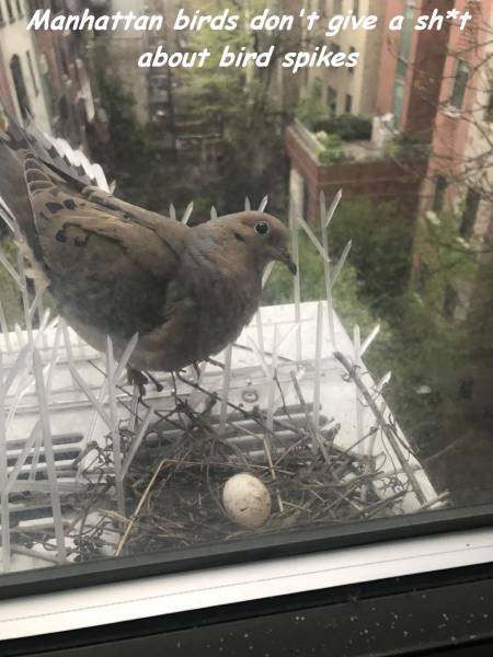 daily picdump 97 pics 23.html - 97 HD Photos | Premium Gallery 2017