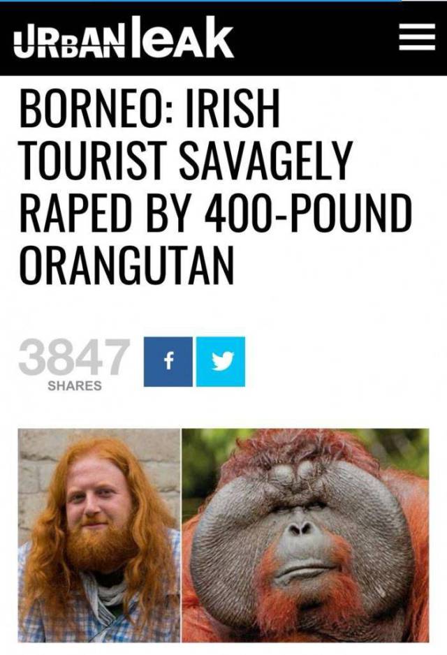 daily picdump 97 pics 23.html - 97 HD Photos | Premium Gallery 2017