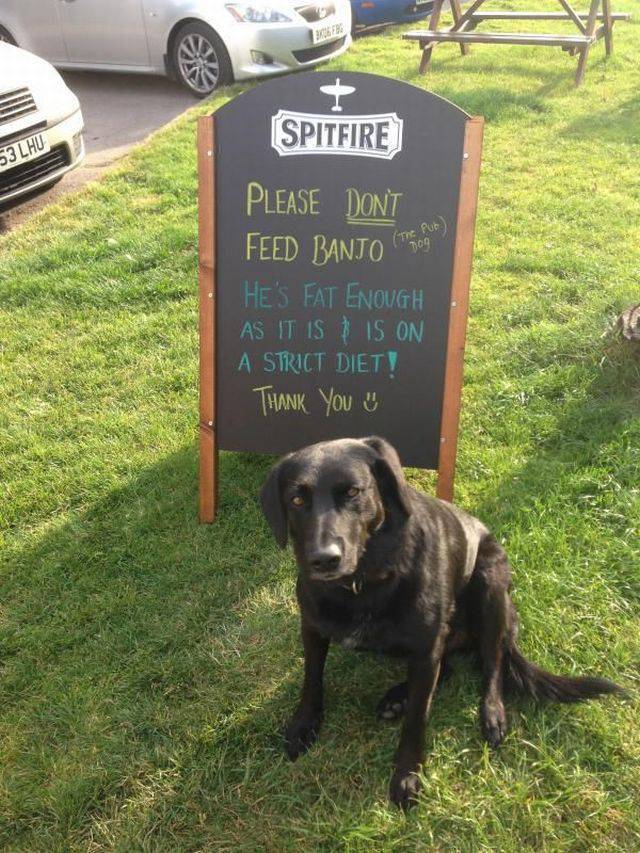 daily picdump 97 pics 23.html - 97 HD Photos | Premium Gallery 2017