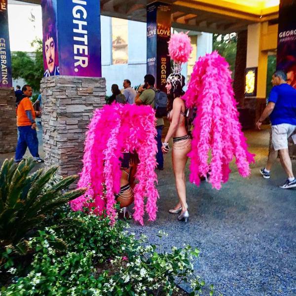 grownup corner 61 pics 12 gifs 2.html - 61 HD GIF | Premium Gallery 2017