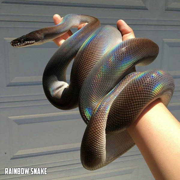 morning picdump 50 pics 24.html - 50 HD Photos | Premium Gallery 2017