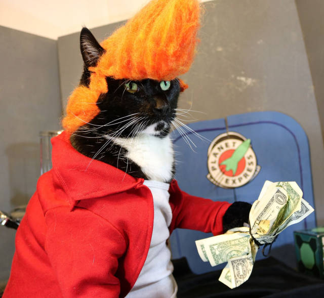 morning picdump 50 pics 24.html - 50 HD Photos | Premium Gallery 2017