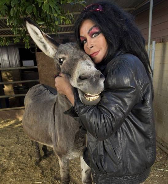 Daily Picdump [WEEKEND EDITION]