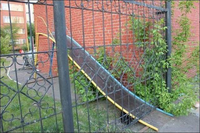 Daily Picdump [WEEKEND EDITION]