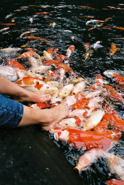 Daily Picdump [WEEKEND EDITION]