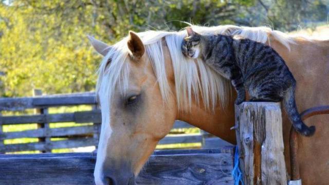 Daily Picdump [WEEKEND EDITION]