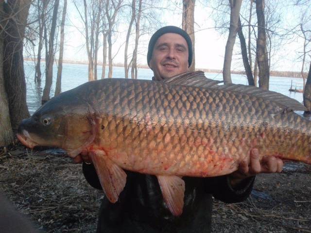 daily picdump weekend edition 73 pics 3.html - 73 HD Photos | Premium Gallery 2017