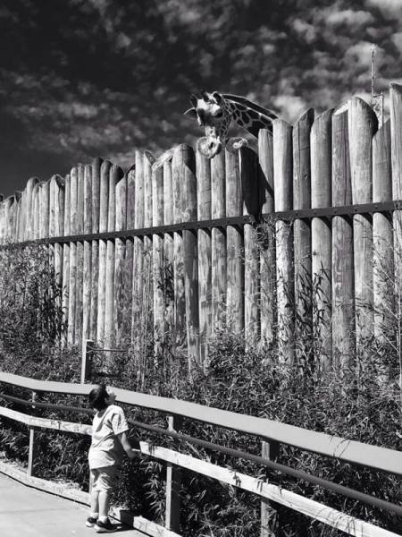 daily picdump weekend edition 73 pics 3.html - 73 HD Photos | Premium Gallery 2017