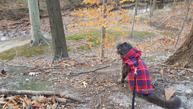 daily picdump weekend edition 73 pics 3.html - 73 HD Photos | Premium Gallery 2017