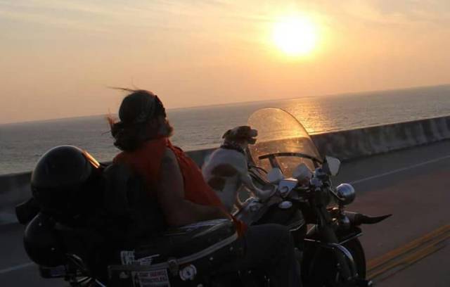 daily picdump weekend edition 73 pics 3.html - 73 HD Photos | Premium Gallery 2017