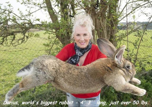 daily picdump weekend edition 73 pics 3.html - 73 HD Photos | Premium Gallery 2017