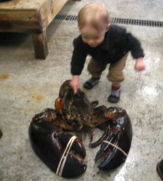 daily picdump weekend edition 73 pics 3.html - 73 HD Photos | Premium Gallery 2017