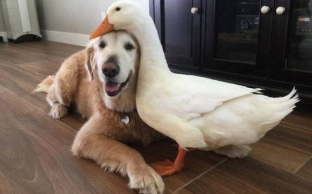 daily picdump 101 pics 51.html - 101 HD Photos | Premium Gallery 2017