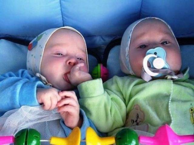 daily picdump 101 pics 51.html - 101 HD Photos | Premium Gallery 2017