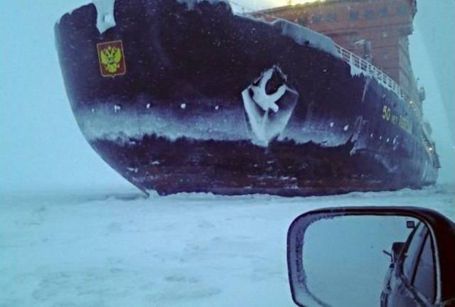 daily picdump 101 pics 51.html - 101 HD Photos | Premium Gallery 2017