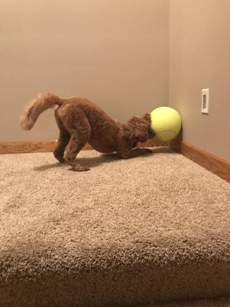 daily picdump 101 pics 51.html - 101 HD Photos | Premium Gallery 2017