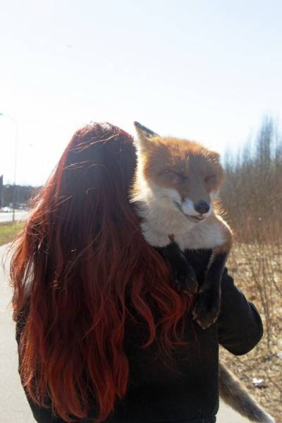 daily picdump 101 pics 51.html - 101 HD Photos | Premium Gallery 2017