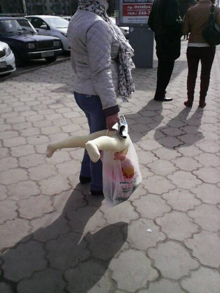 daily picdump 101 pics 51.html - 101 HD Photos | Premium Gallery 2017