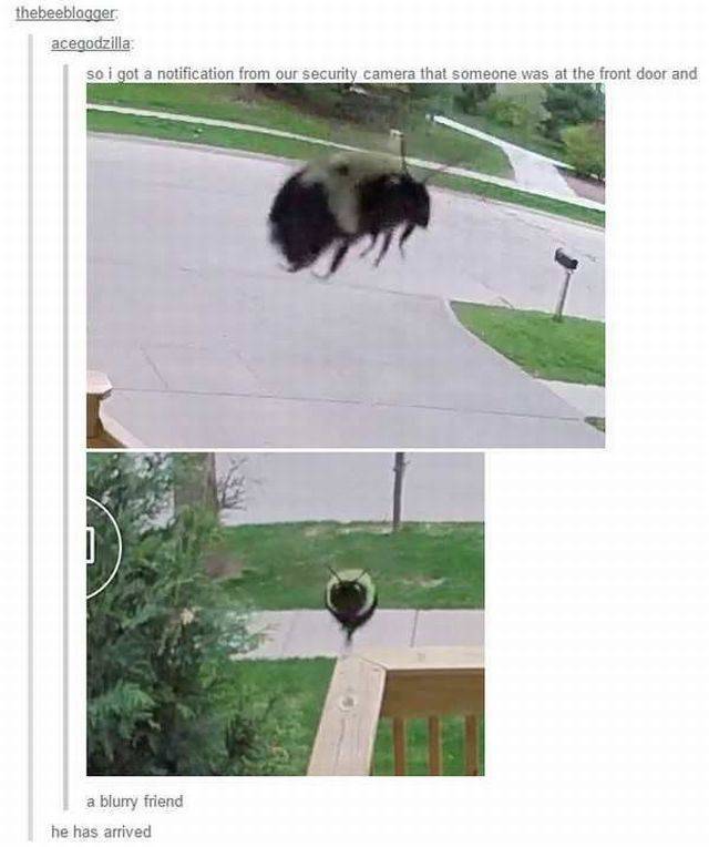 daily picdump 101 pics 51.html - 101 HD Photos | Premium Gallery 2017