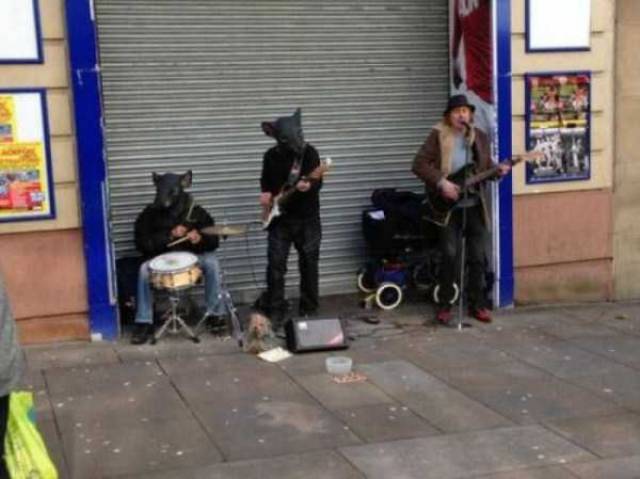 Sometimes the Only Question is WTF?