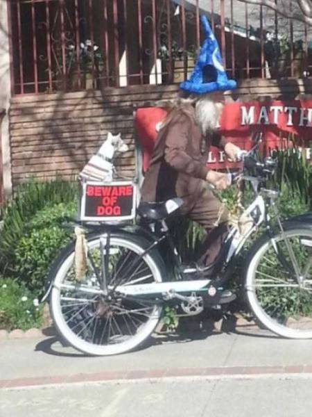 Sometimes the Only Question is WTF?