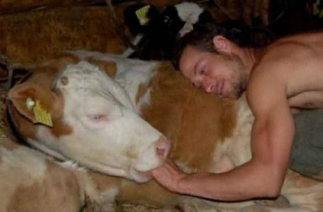 Sometimes the Only Question is WTF?