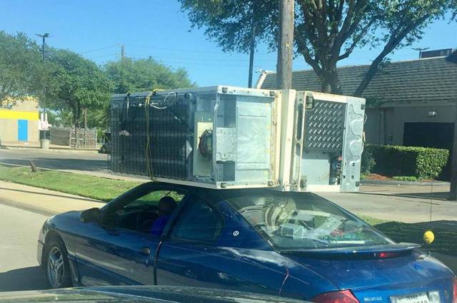 Sometimes the Only Question is WTF?