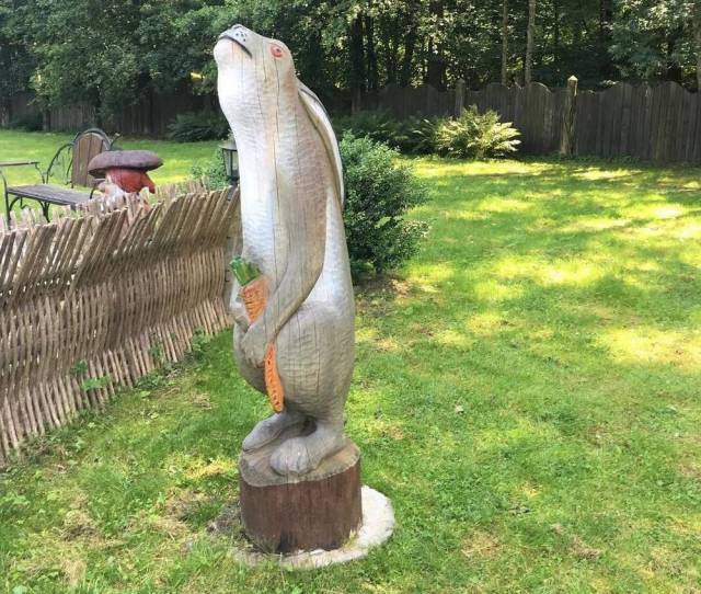 Sometimes the Only Question is WTF?