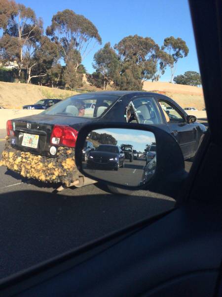 Sometimes the Only Question is WTF?