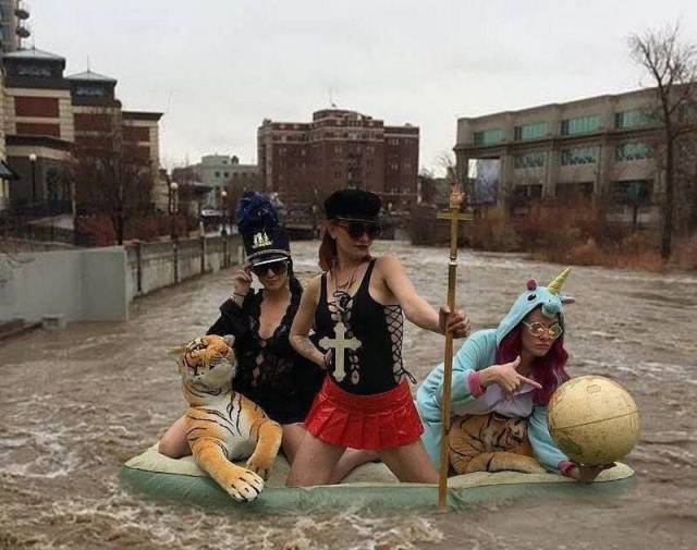 Sometimes the Only Question is WTF?