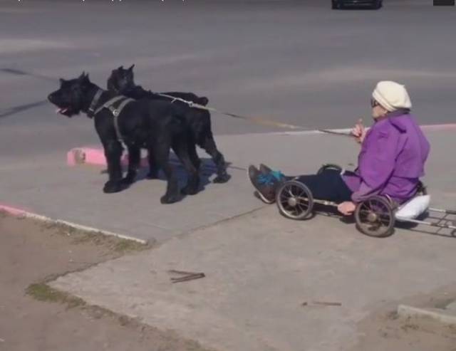 daily picdump 94 pics 38.html - 94 HD Photos | Premium Gallery 2017