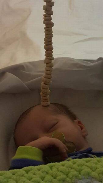 daily picdump 94 pics 38.html - 94 HD Photos | Premium Gallery 2017