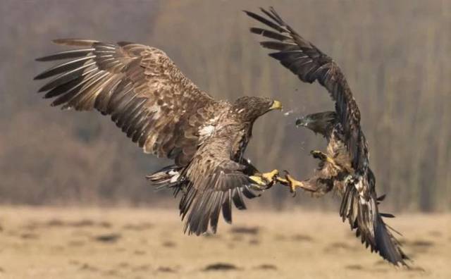 daily picdump 94 pics 38.html - 94 HD Photos | Premium Gallery 2017