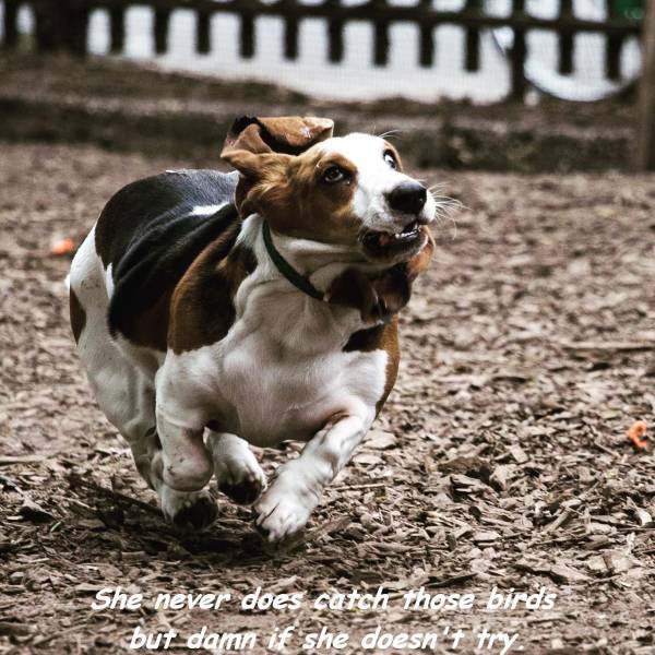 daily picdump 94 pics 38.html - 94 HD Photos | Premium Gallery 2017