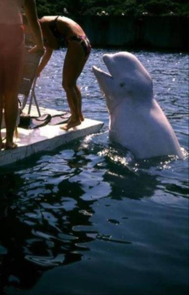 daily picdump 94 pics 38.html - 94 HD Photos | Premium Gallery 2017