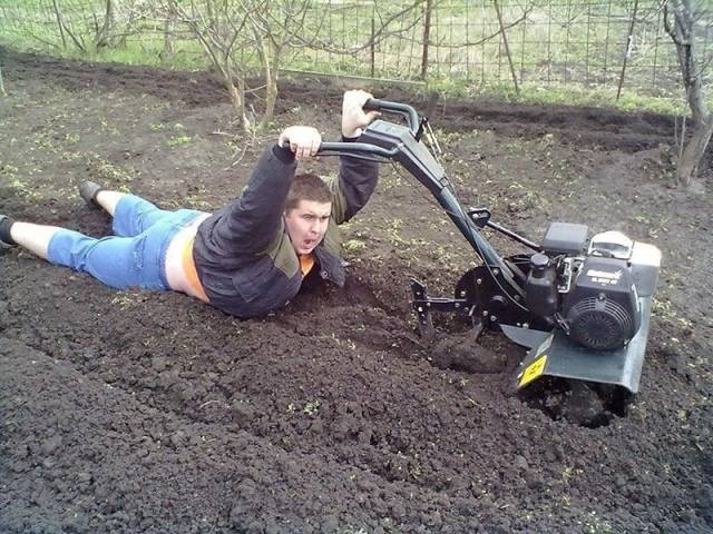 daily picdump 94 pics 38.html - 94 HD Photos | Premium Gallery 2017