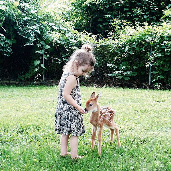 daily picdump 94 pics 38.html - 94 HD Photos | Premium Gallery 2017