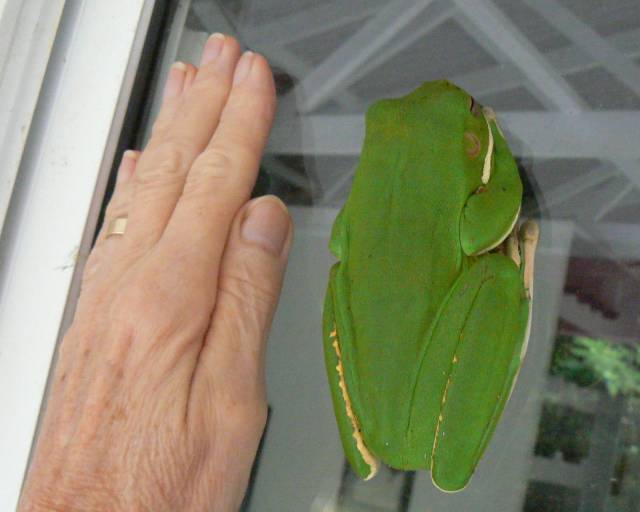 daily picdump 94 pics 38.html - 94 HD Photos | Premium Gallery 2017