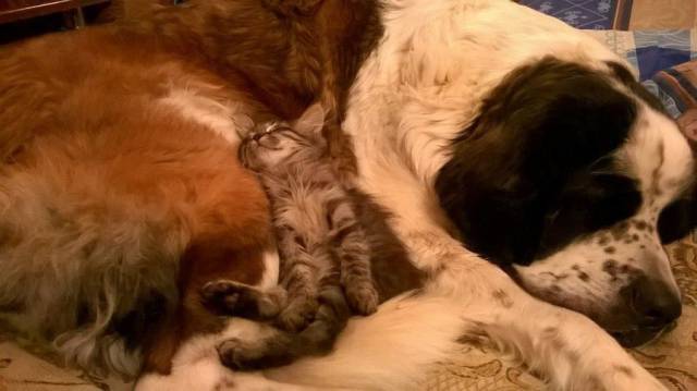 daily picdump 94 pics 38.html - 94 HD Photos | Premium Gallery 2017