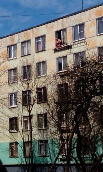 daily picdump 94 pics 38.html - 94 HD Photos | Premium Gallery 2017