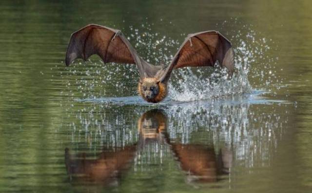 daily picdump 94 pics 38.html - 94 HD Photos | Premium Gallery 2017