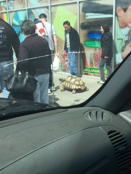 daily picdump 94 pics 38.html - 94 HD Photos | Premium Gallery 2017