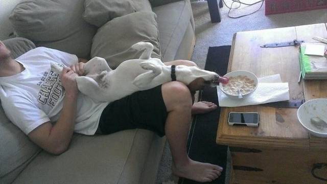 daily picdump 94 pics 38.html - 94 HD Photos | Premium Gallery 2017