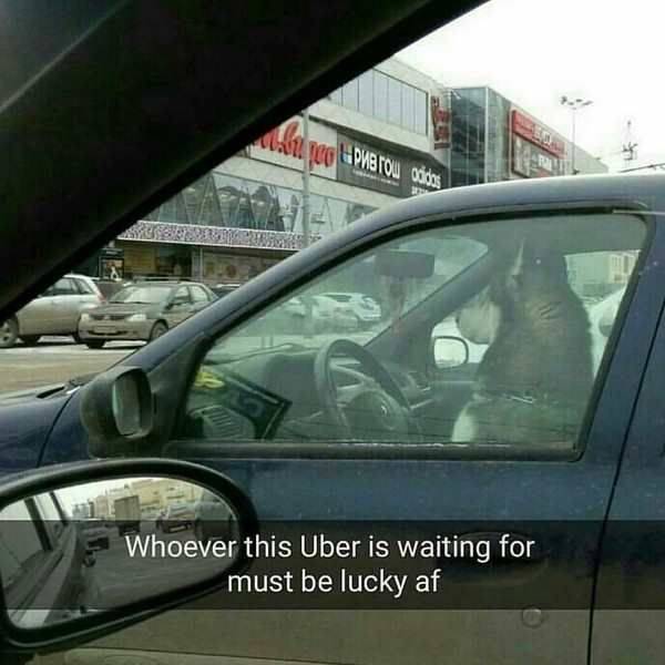 daily picdump 94 pics 38.html - 94 HD Photos | Premium Gallery 2017