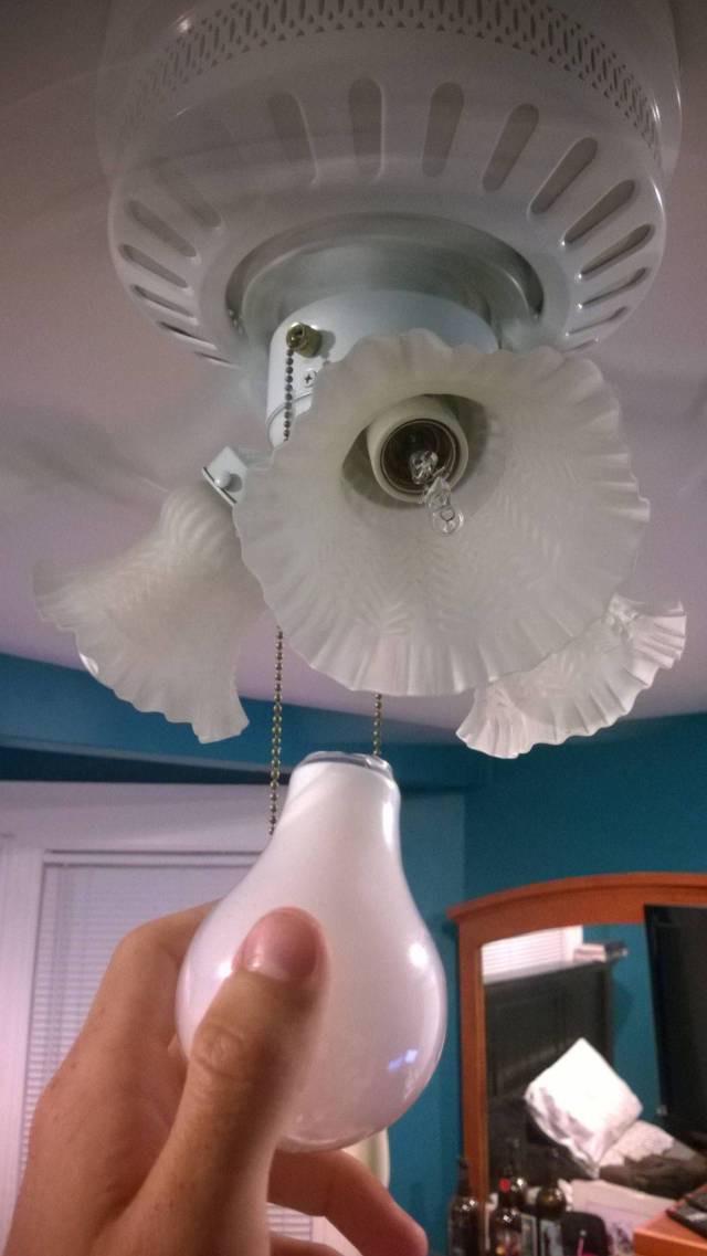 daily picdump 94 pics 38.html - 94 HD Photos | Premium Gallery 2017