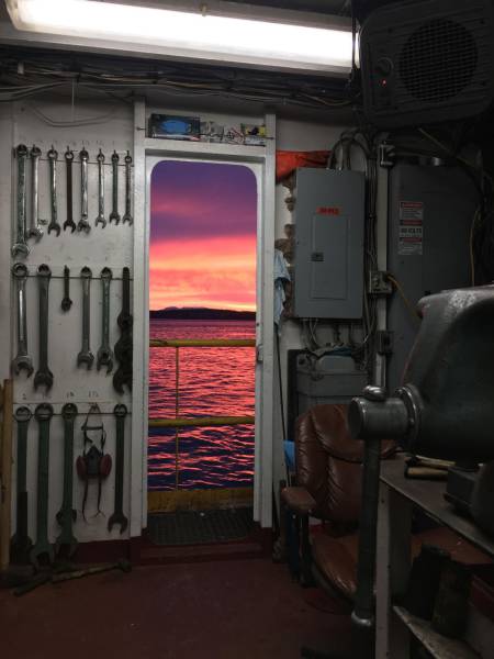 daily picdump 95 pics 38.html - 95 HD Photos | Premium Gallery 2017