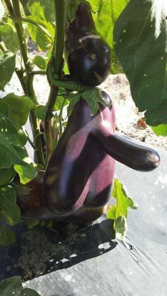 daily picdump 95 pics 38.html - 95 HD Photos | Premium Gallery 2017